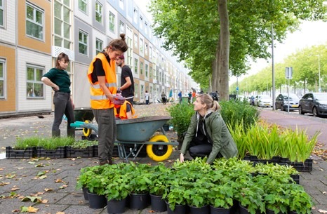 Groeninitiatieven