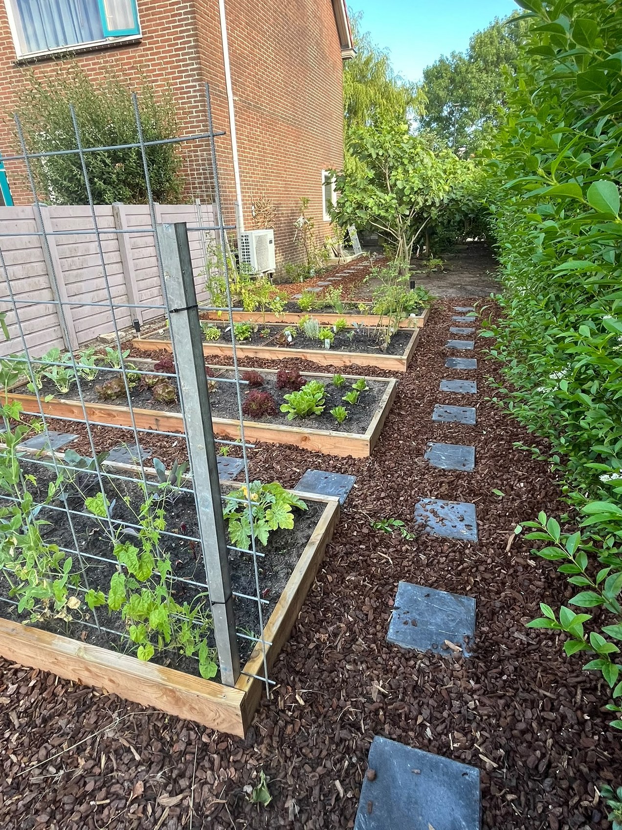 Singelwijk Buurtmoestuin
